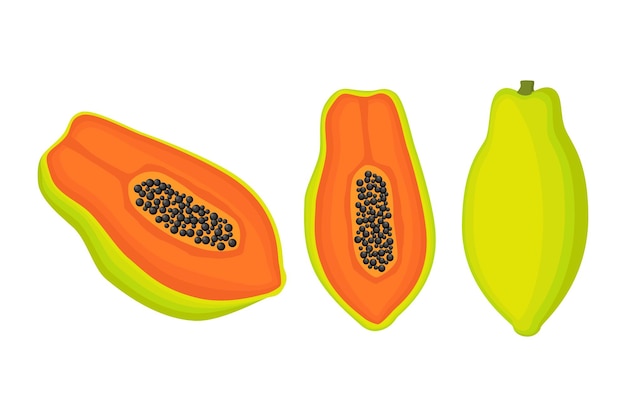Exótica papaya vegana fruta vector plano aislado ilustración