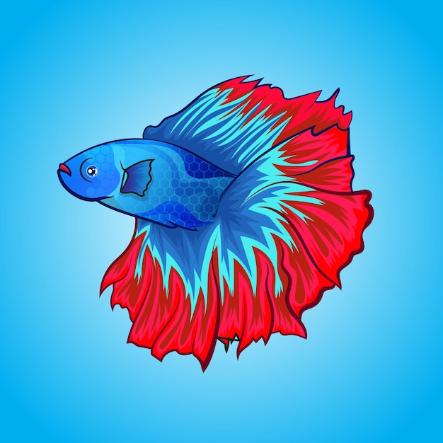 Exóticos peces Betta Halfmoon ilustración de ilustraciones en color hermoso aislado sobre fondo de agua