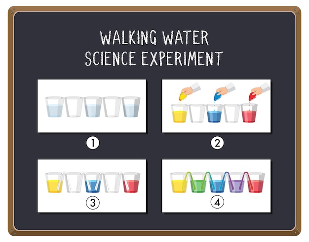 Experimento de ciencia del agua caminando