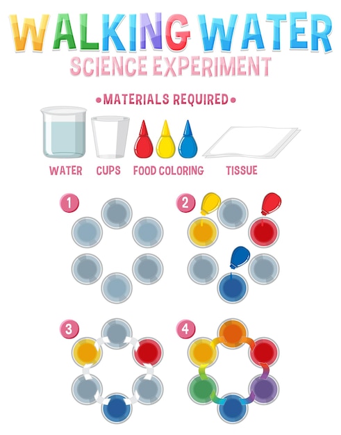 Experimento de ciencia del agua caminando