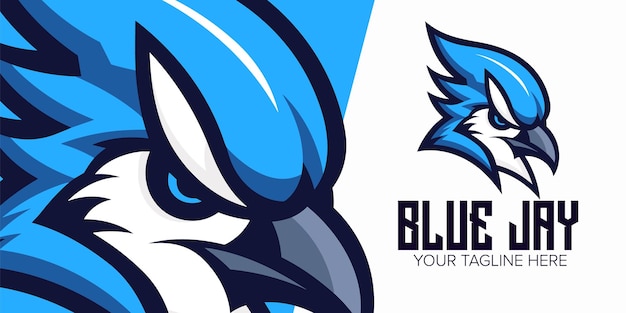 Expresivo emblema de Blue Jay Logo de la mascota moderna para el orgullo del equipo y estampados de camisetas elegantes