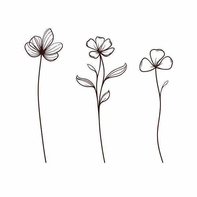 Exquisito contorno de una flor de amapola en formato vectorial