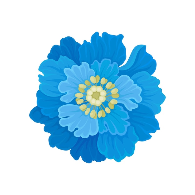 Vector exuberante flor azul en flor vista desde arriba ilustración vectorial sobre fondo blanco