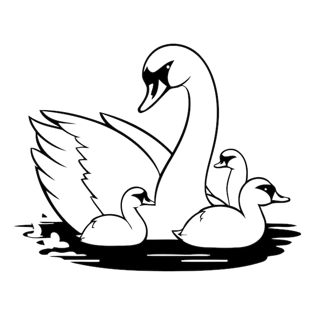 Familia de cisnes con dos cisnes en el agua ilustración vectorial