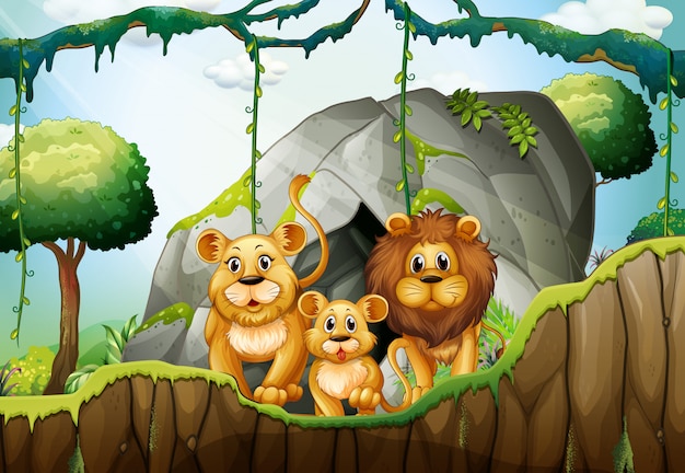 Familia de leones viviendo en la jungla