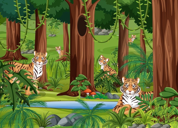 Familia de tigre en el fondo del paisaje forestal