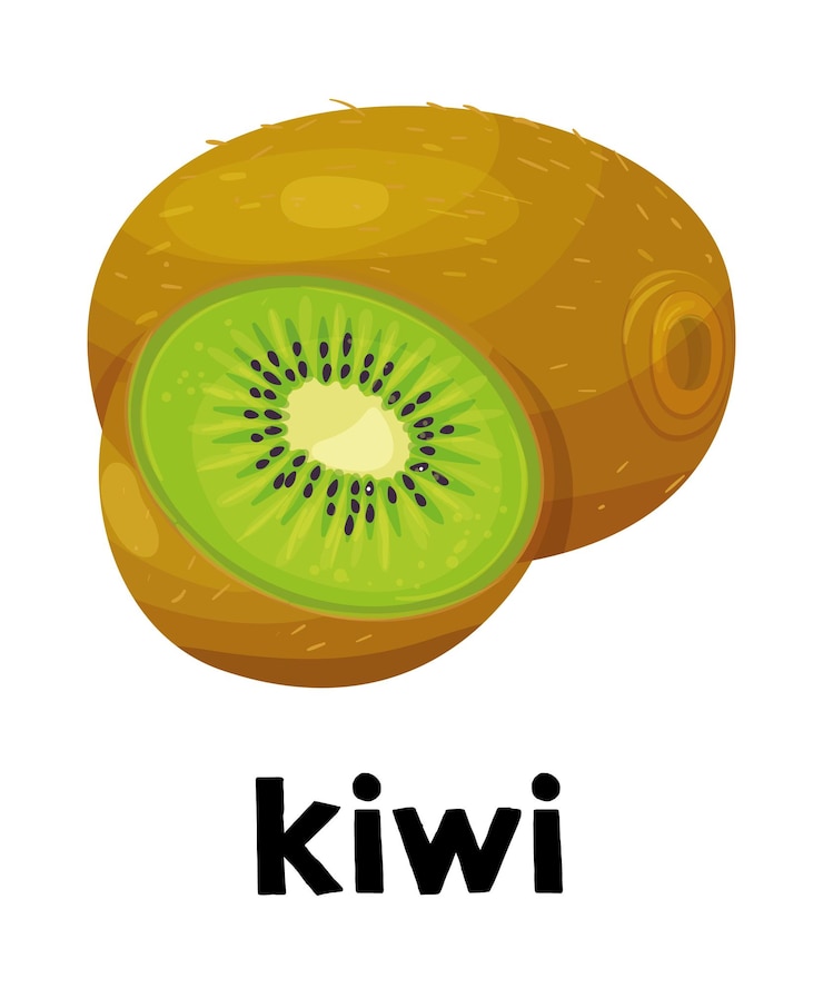 Vector fantástico kiwi de frutas frescas