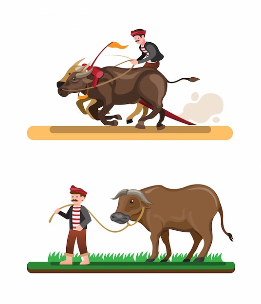 Farmer race buffalo atracción tradicional asiática, hombre montando colección de búfalo en vector de ilustración de dibujos animados