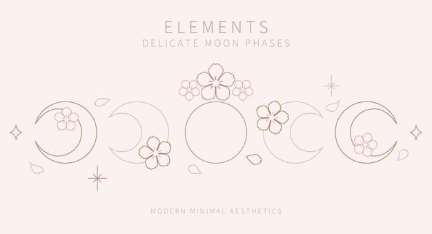 Vector fases de la luna con flores de sakura