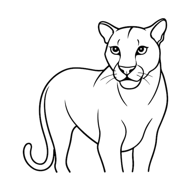 Fauna africana puma leopardo gato salvaje coguar león de montaña ilustración