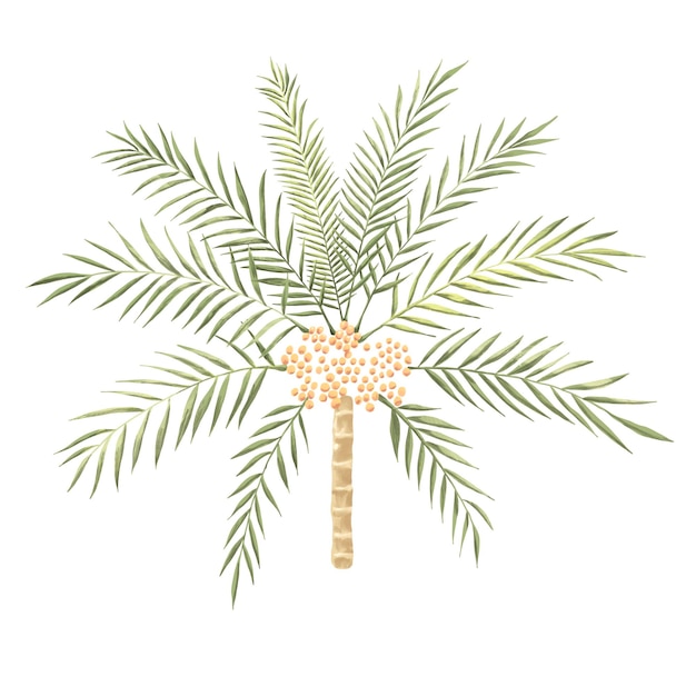 fecha árbol