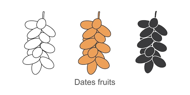 Fechas frutas conjunto ilustración vectorial aislado