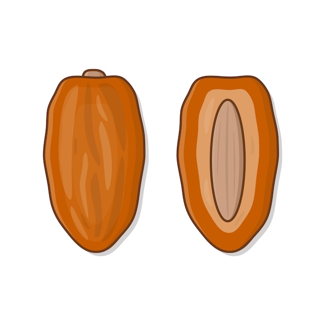 Fechas de frutas Ilustración de Ramadán. Fruta seca