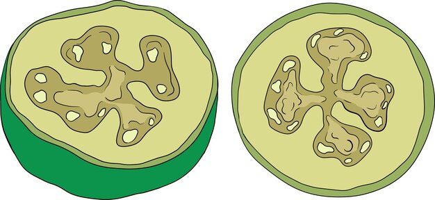 Feijoa sellowiana piña guayaba guayabastián colorido ilustración vectorial dibujada a mano