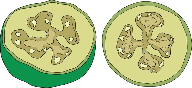 Vector feijoa sellowiana piña guayaba guayabastián colorido ilustración vectorial dibujada a mano