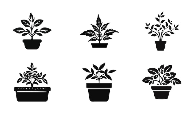 La felicidad botánica las siluetas elegantes de las plantas