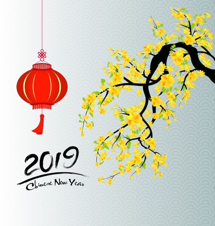 Vector feliz año nuevo 2019. año nuevo chino, año del cerdo