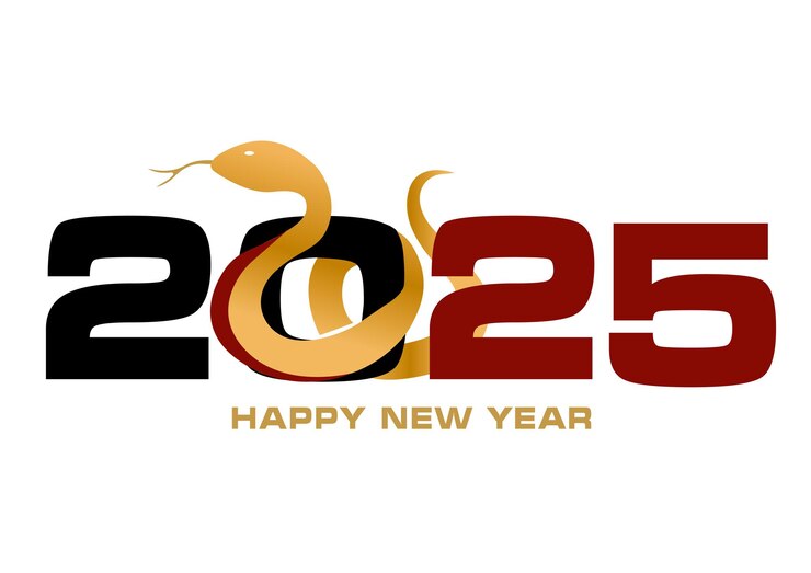 Feliz año nuevo 2025 p35
