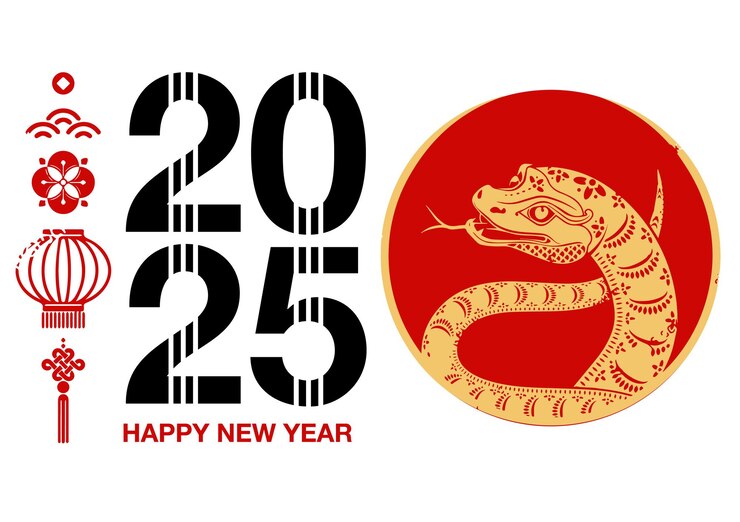 Feliz año nuevo 2025 p66