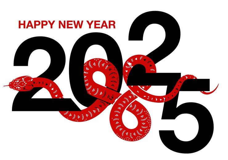 Feliz año nuevo 2025 p67