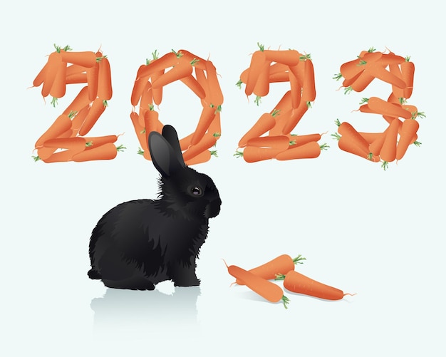 Vector feliz año nuevo chino 2023, año del conejo negro. diseño para portadas, postales, carteles, tarjetas