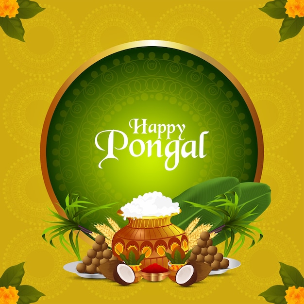 Feliz celebración del festival indio pongal