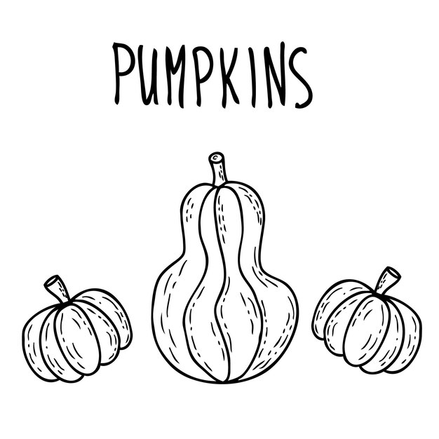 Feliz Halloween doodle dibujo de tres lindas calabazas con inscripción Ilustración de vector dibujado a mano Diseño para camiseta textil y estampados