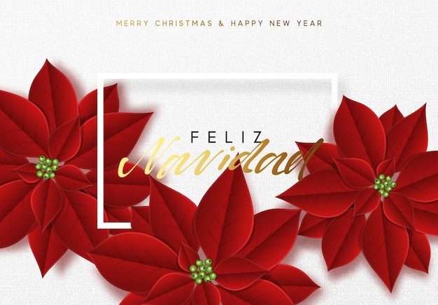 Feliz Navidad, fondo decorado con hermosas flores de poinsettia de cogollos rojos. Texto en español Feliz Navidad