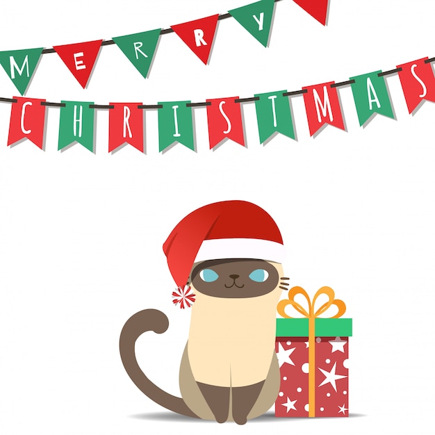 Feliz navidad con el gato disfraz de santa claus.