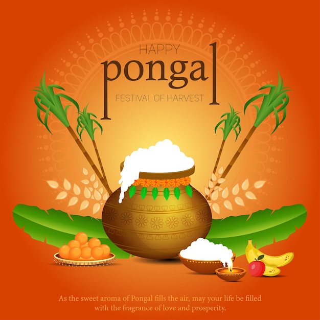 Feliz Pongal