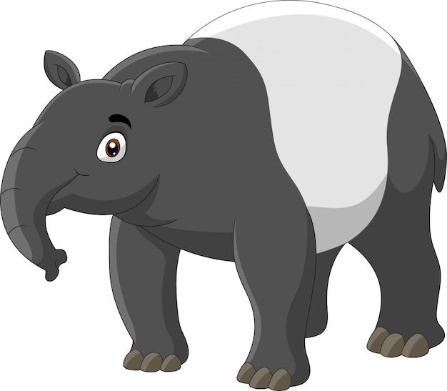 Feliz tapir cartoon aislado sobre fondo blanco.