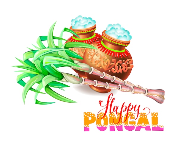 Feliz tarjeta de felicitación pongal al festival de la cosecha del sur de la India.