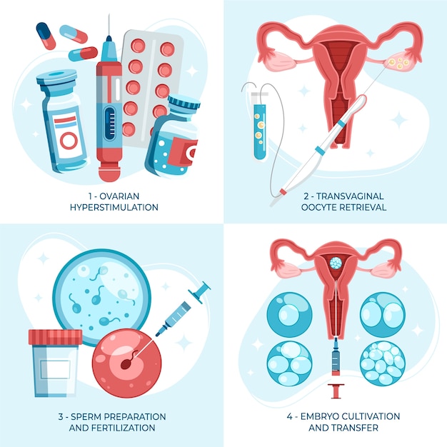 Fertilización humana conjunto de composiciones de dibujos animados dibujados a mano