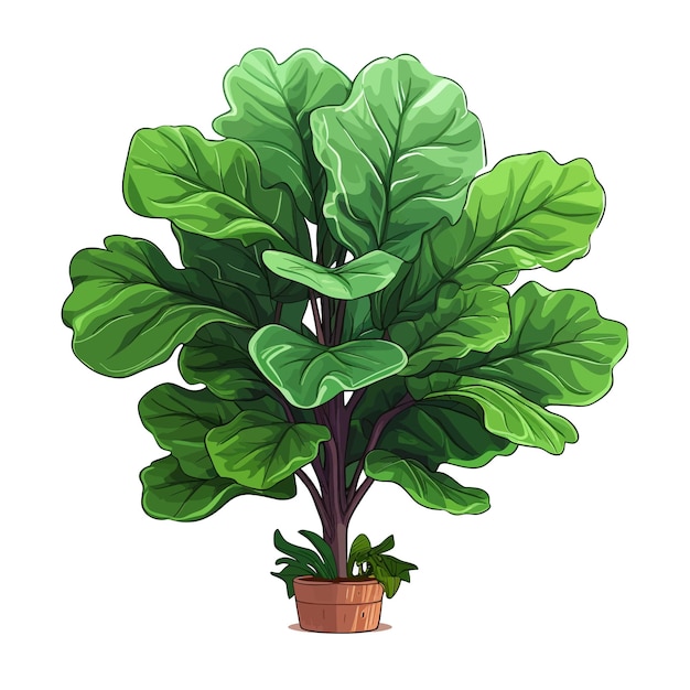 Vector ficus lyrata fiddle figo de hojas