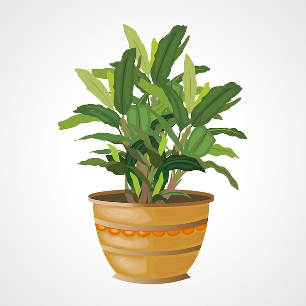 Ficus en una olla ilustración vectorial aislada planta casera ilustración