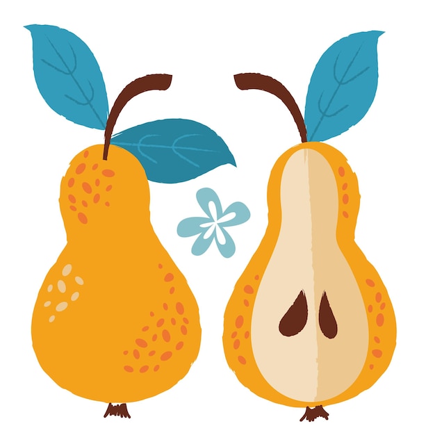 Fiesta de la cosecha. Logotipo vectorial sobre un fondo blanco. Dos peras maduras amarillas.