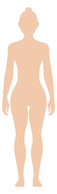 Vector figura femenina color silueta humana cuerpo de mujer aislado sobre fondo blanco