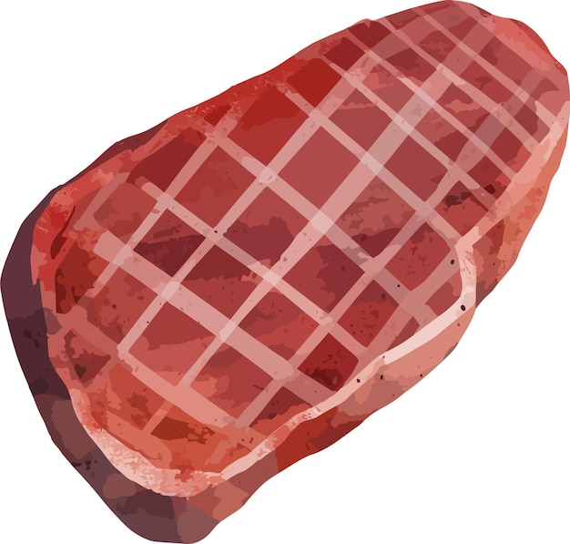 Vector filete frito de dibujos animados de carne fresca y a la parrilla de vector