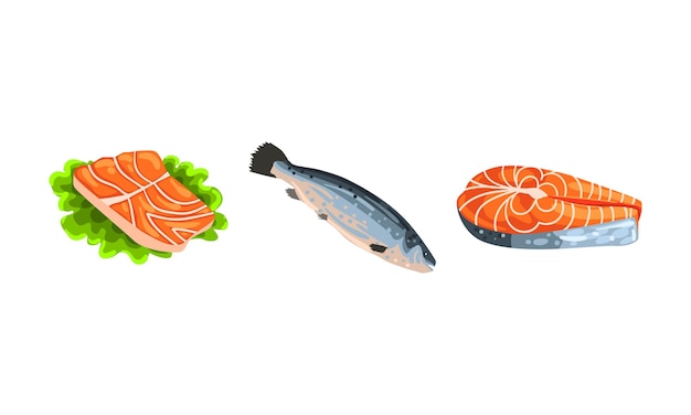 Filete de salmón fresco y filete de pescado como conjunto vectorial de productos de mariscos