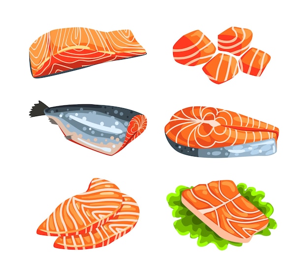 Filete de salmón fresco y filete de pescado como conjunto vectorial de productos de mariscos