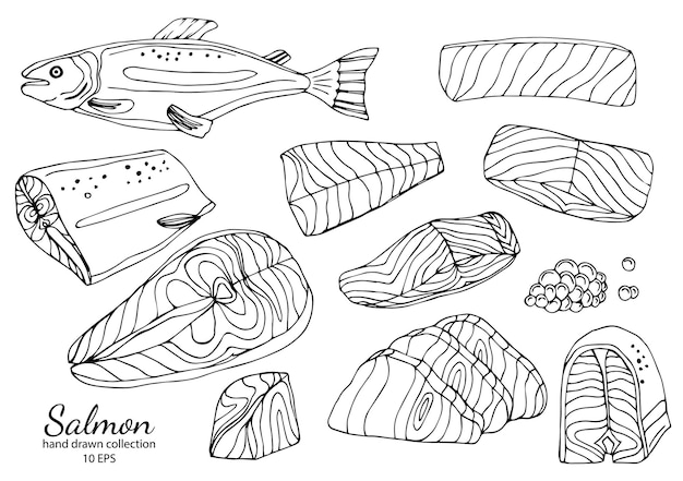 Filetes crudos de caviar de pescado rojo entero de salmón y filete ilustración de vector de contorno aislado realista