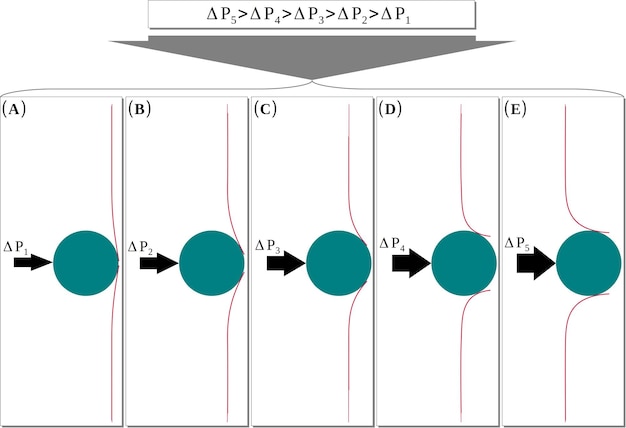 Vector filtración de sustancias a través de una pared arterial e hipertensión.