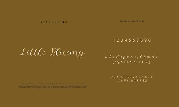 Firma Font Caligrafía Logotipo Escritura Pincel Tipo de fuente Letras de fuente escritas a mano