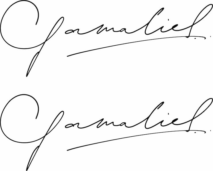 Vector la firma