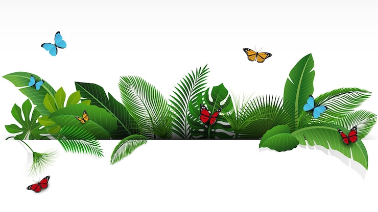 Vector firme con el espacio del texto de hojas y de mariposas tropicales.