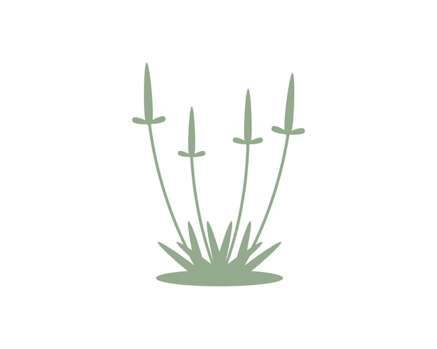 Fisioterapia con hierba verde
