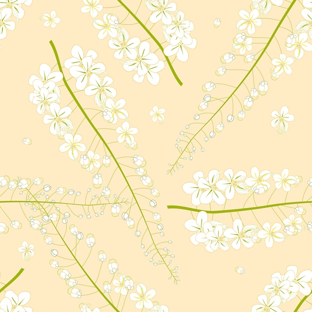 Fistula blanca de cassia - flor de la ducha de oro en fondo amarillo