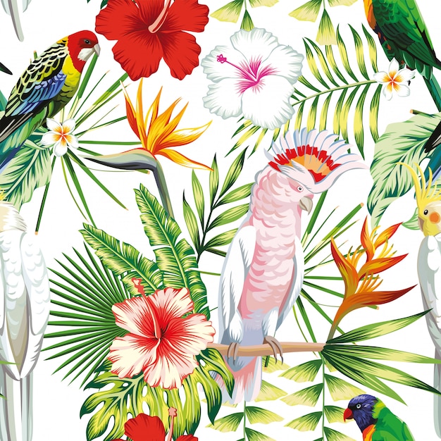 Vector sin fisuras patrón tropical exótico multicolor aves loro, guacamayo con plantas tropicales, hojas de plátano, flores strelitzia, hibiscus