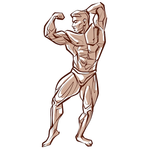 Fitness hombres posando hombre musculoso se encuentra ondulado atleta velocista dibujo vectorial