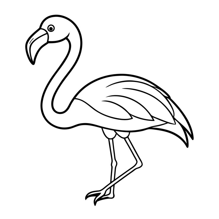 Vector flamenco para colorear página de arte de línea sobre fondo blanco